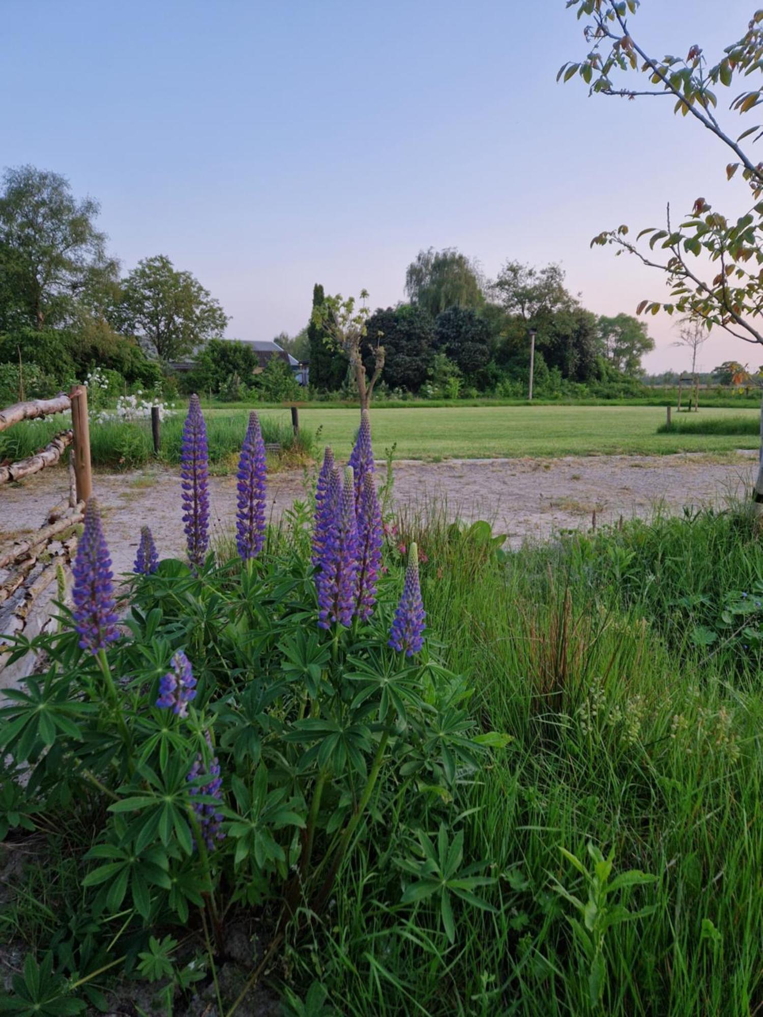 De Wilde Tuin - Tuinkamer Moergestel Extérieur photo